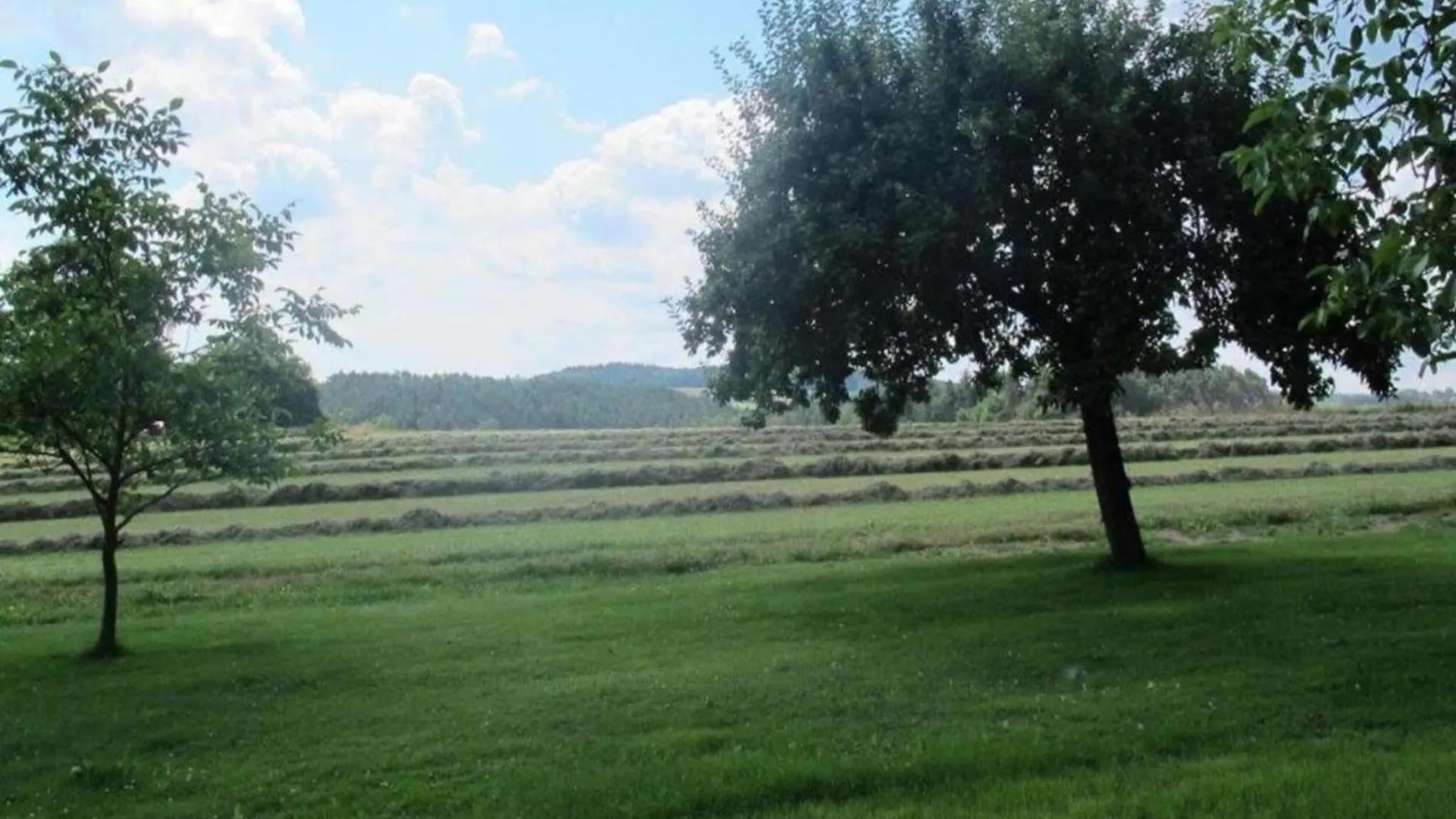 Cozy Pet Friendly Holiday Home In T Nnesberg Tännesberg Γερμανία
