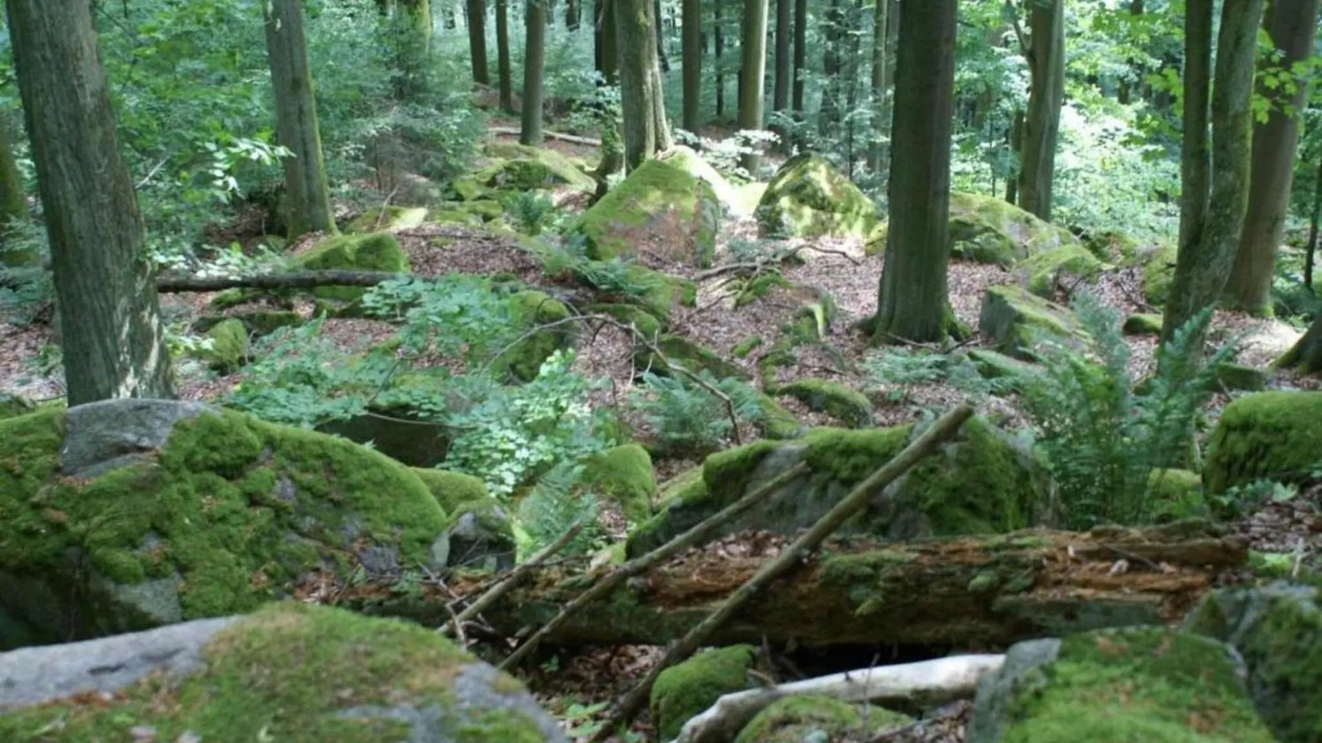 Cozy Pet Friendly Holiday Home In T Nnesberg Tannesberg