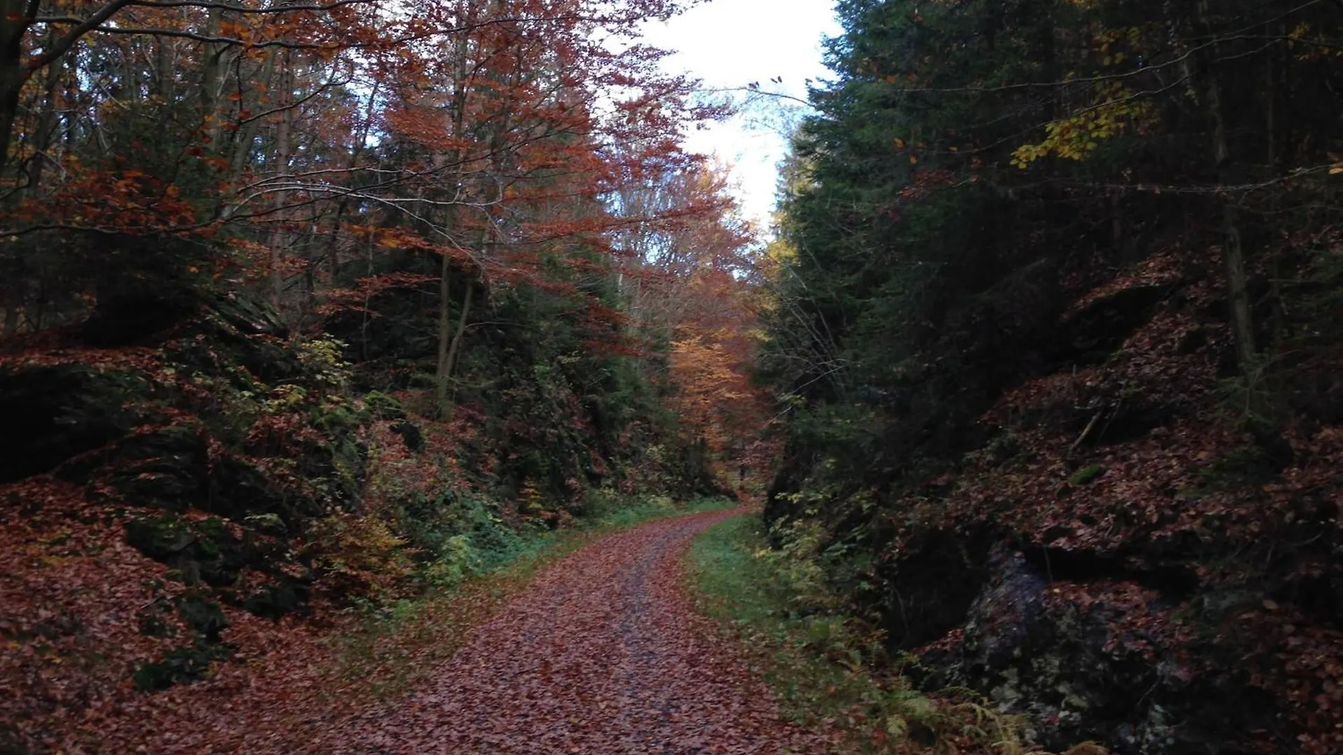Cozy Pet Friendly Holiday Home In T Nnesberg Tannesberg 0*,  Germany